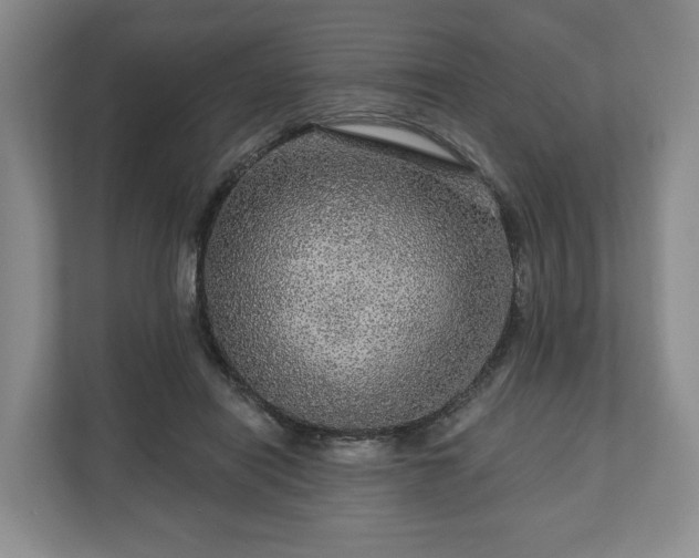 X0000111200454200907081245