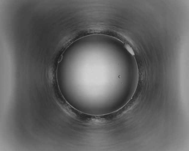 X0000111200455200907081245