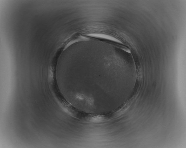 X0000111200456200907081245