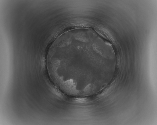 X0000111200457200907081245