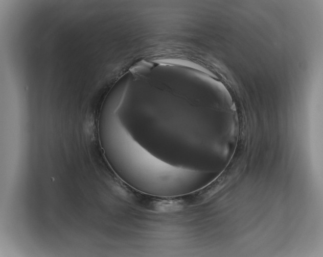 X0000111200465200907081245