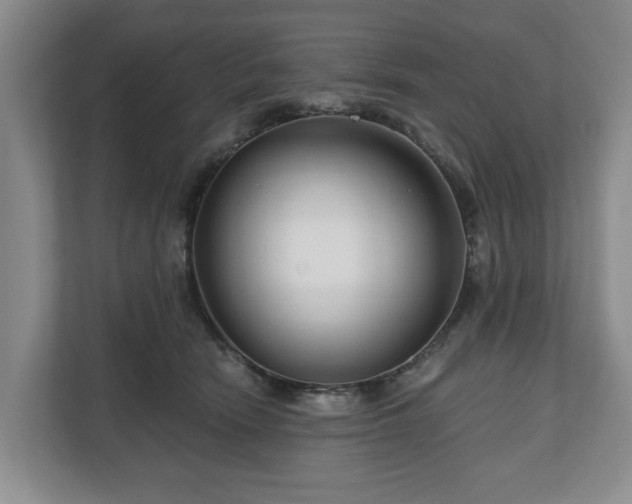 X0000111200466200907081245