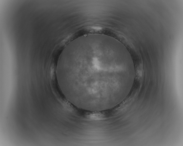 X0000111200468200907081245