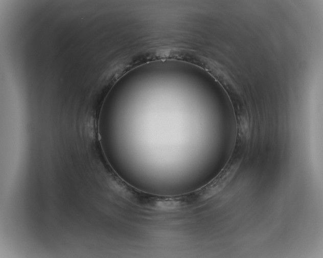 X0000111200470200907081245