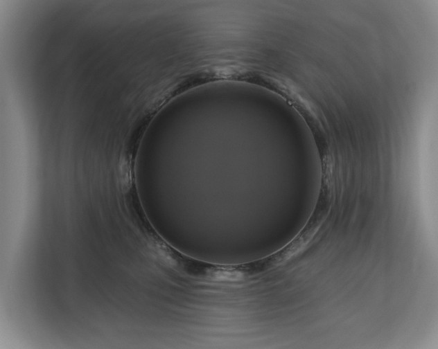 X0000111200471200907081245