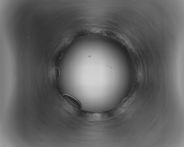 X0000111200473200907081245