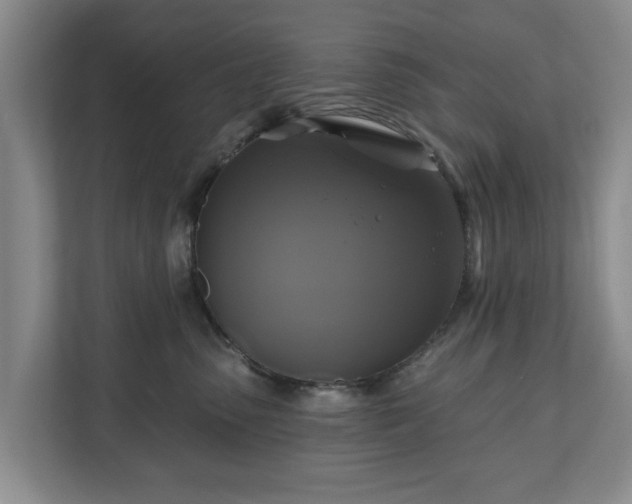 X0000111200475200907081245