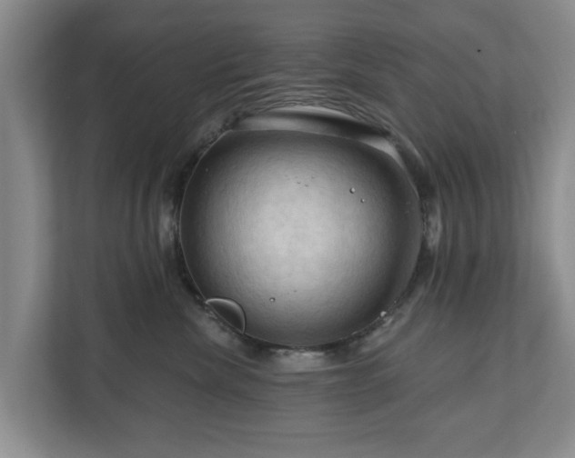 X0000111200476200907081245