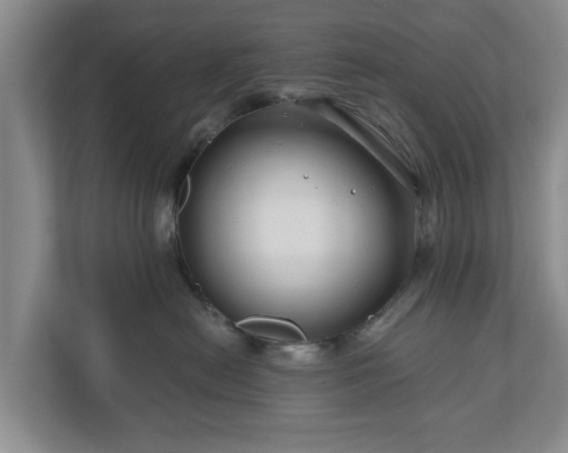 X0000111200478200907081245