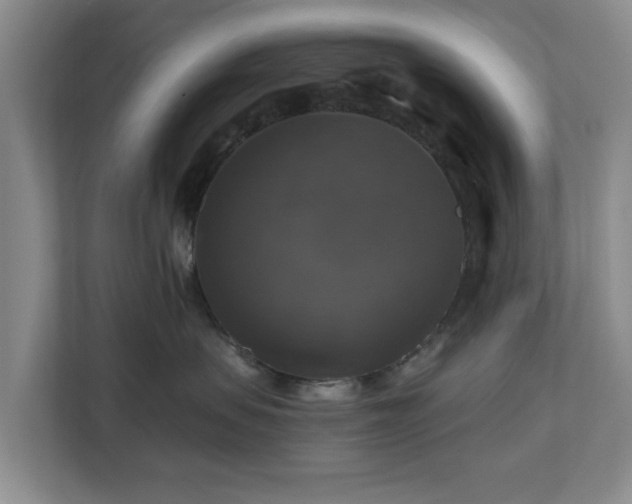 X0000111200479200907081245