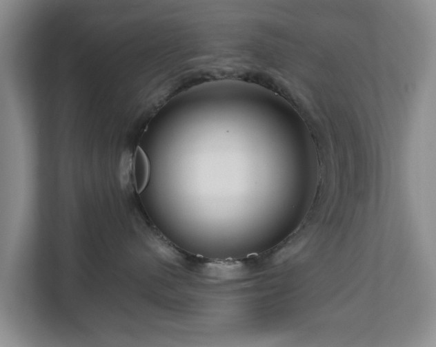 X0000111200480200907081245