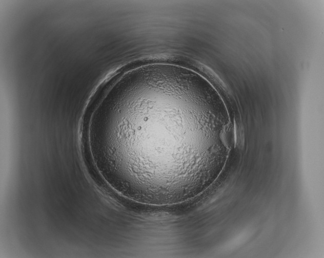 X0000111200483200907081245