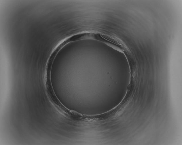 X0000111200484200907081245