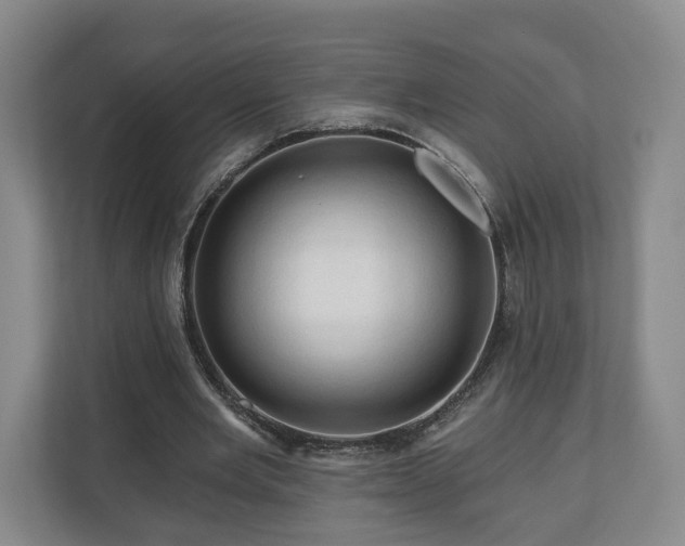 X0000111200485200907081245