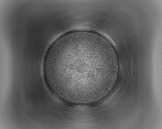 X0000111200487200907081245