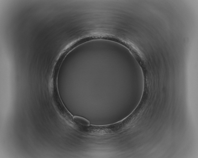 X0000111200488200907081245