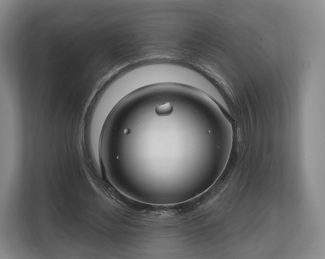 X0000111200492200907081245