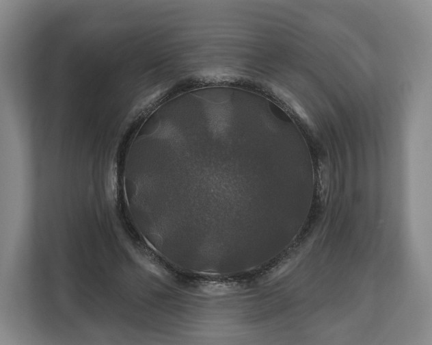 X0000111200494200907081244