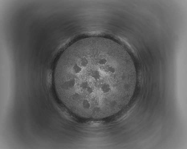 X0000111200495200907081244