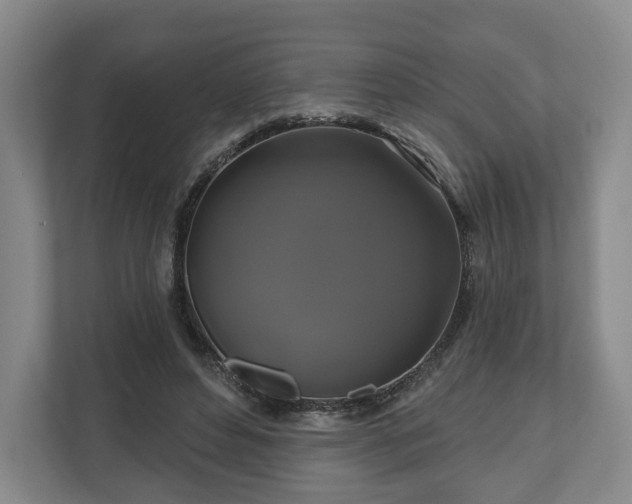 X0000111200496200907081244