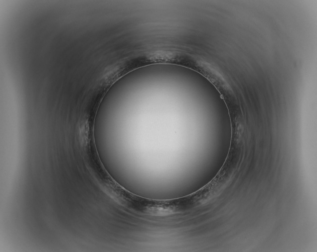 X0000111200498200907081244