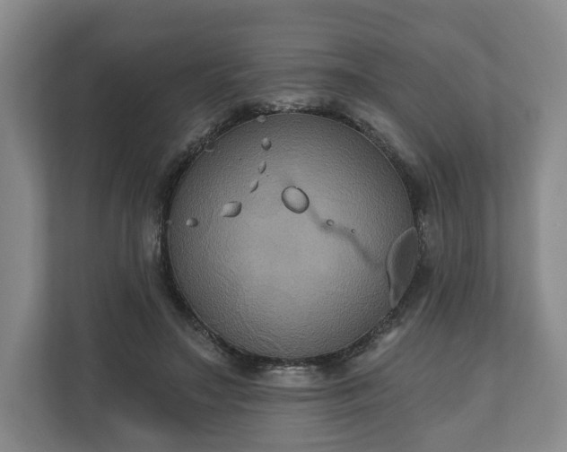 X0000111200499200907081244