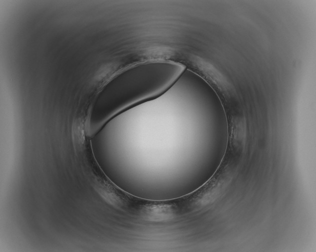 X0000111200501200907081244