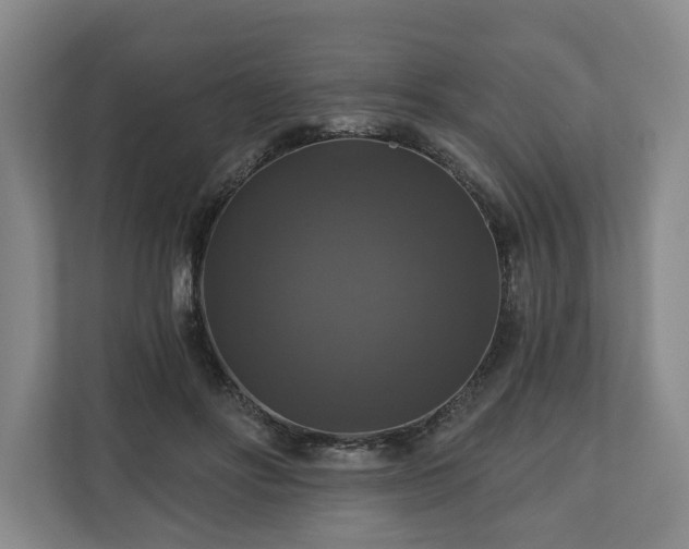 X0000111200502200907081244