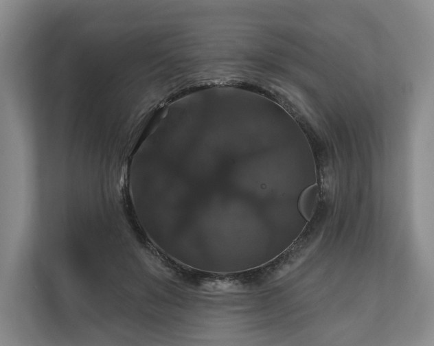 X0000111200503200907081244