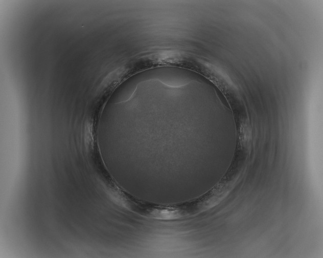 X0000111200506200907081244