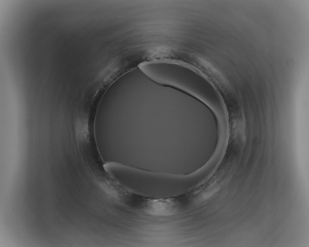 X0000111200508200907081244