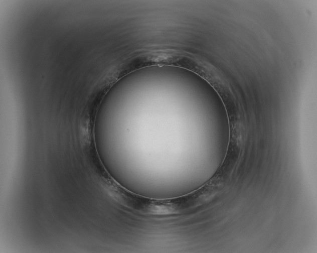 X0000111200510200907081244