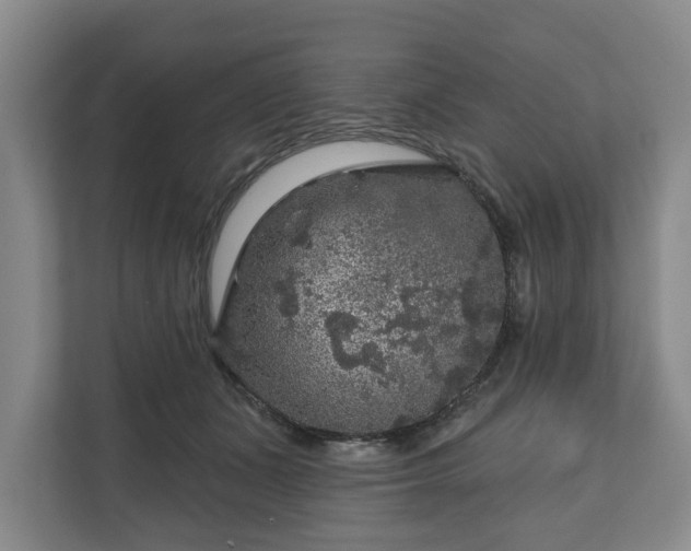 X0000111200511200907081244