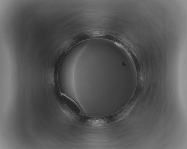 X0000111200512200907081244