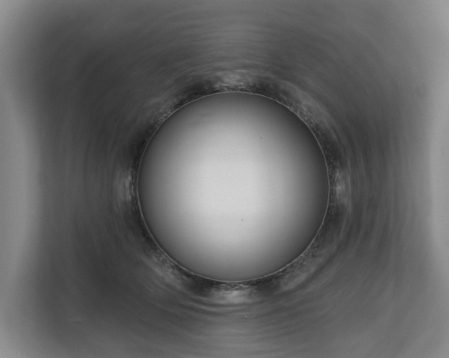 X0000111200514200907081244