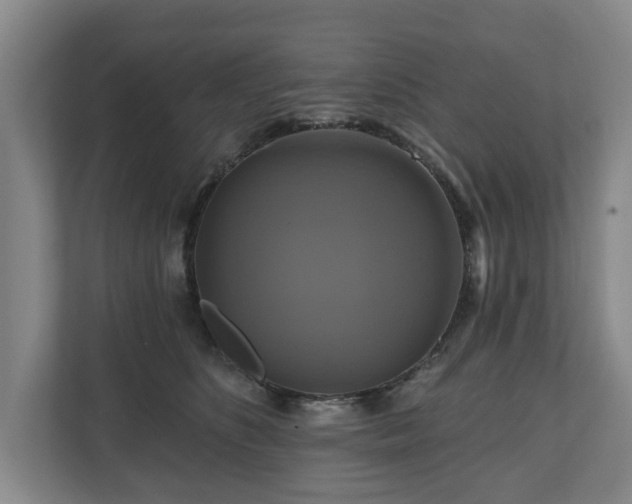 X0000111200516200907081244