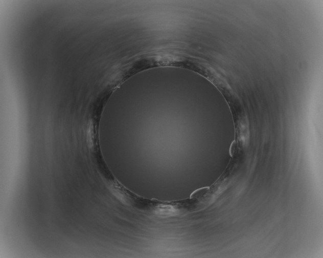 X0000111200519200907081244