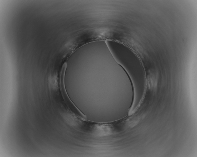 X0000111200520200907081244