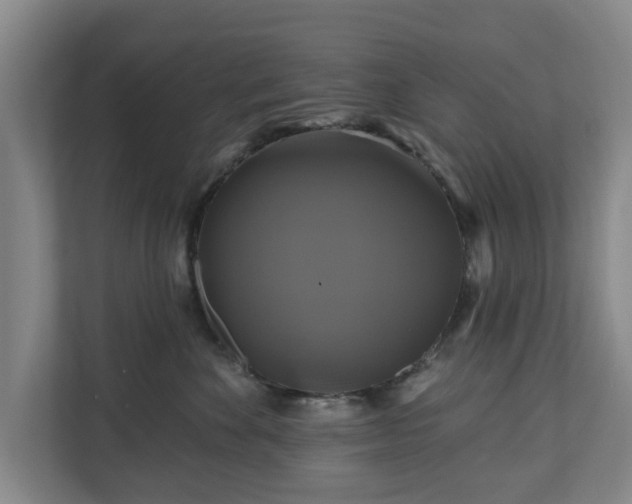 X0000111200524200907081244