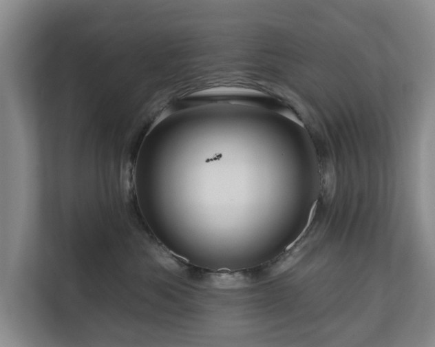 X0000111200525200907081244