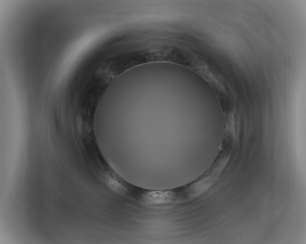 X0000111200526200907081244