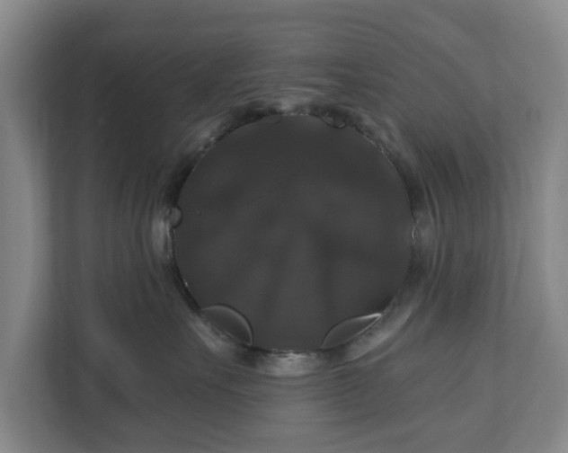 X0000111200527200907081244