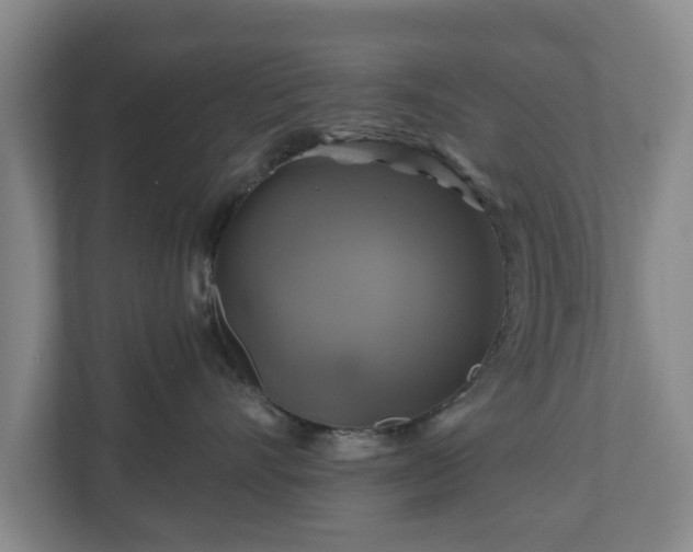 X0000111200528200907081244