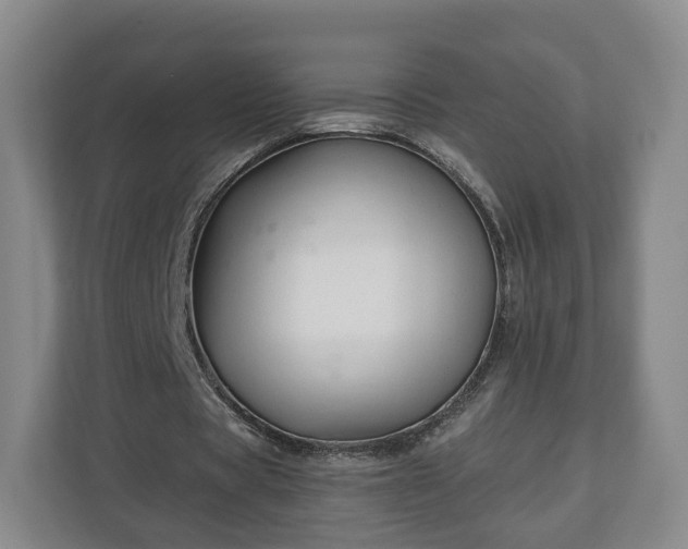 X0000111200529200907081243