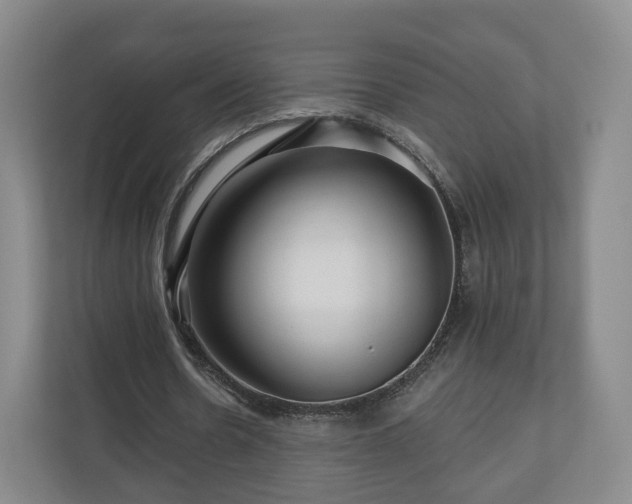 X0000111200530200907081243