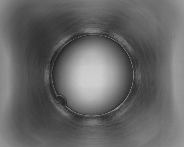 X0000111200533200907081243