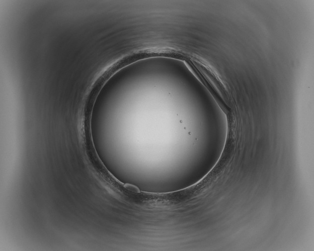 X0000111200535200907081243