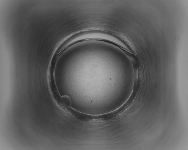 X0000111200536200907081244