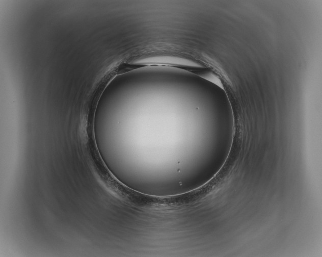 X0000111200538200907081244