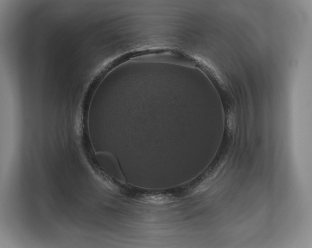 X0000111200540200907081244